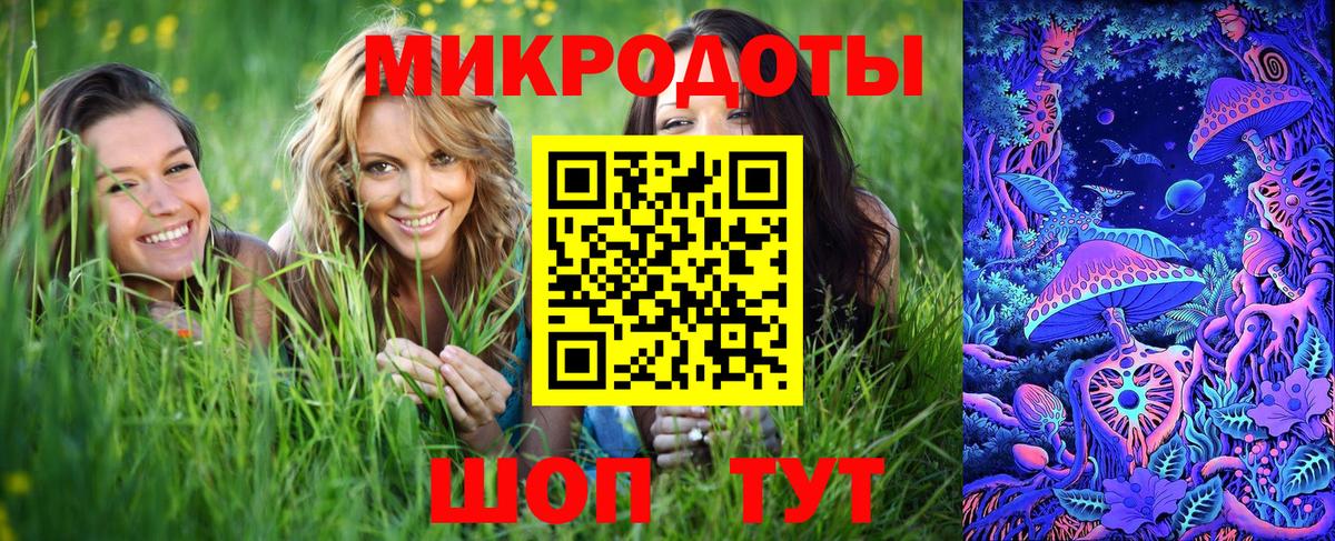 Псилоцибиновые грибы Psilocybine cubensis  Вход с VPN  даркнет сайт  Приморско-Ахтарск  Галлюциногенные грибы Magic Shrooms 